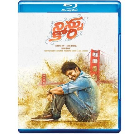 Ninnu Kori (Blu-ray)